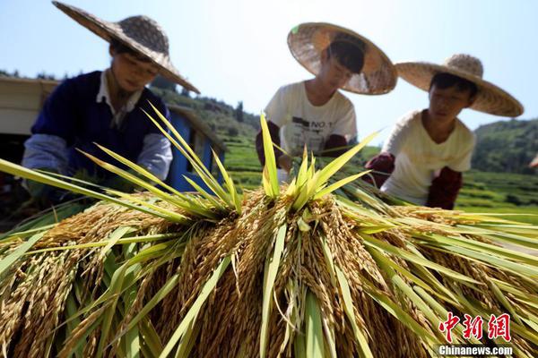 管家婆正版资料，红五月黑板报,记录激情与梦想的青春篇章